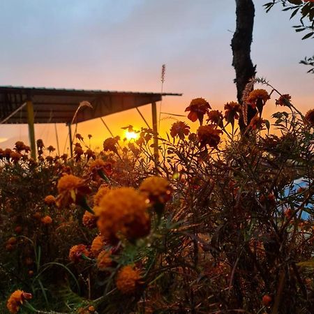 The Kanatal Arbour カナタル エクステリア 写真