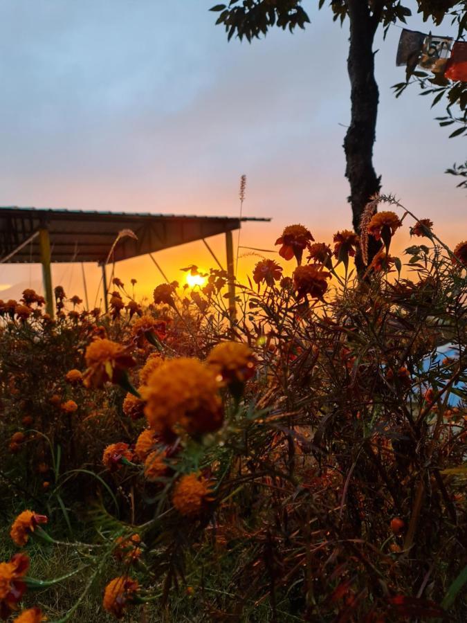 The Kanatal Arbour カナタル エクステリア 写真