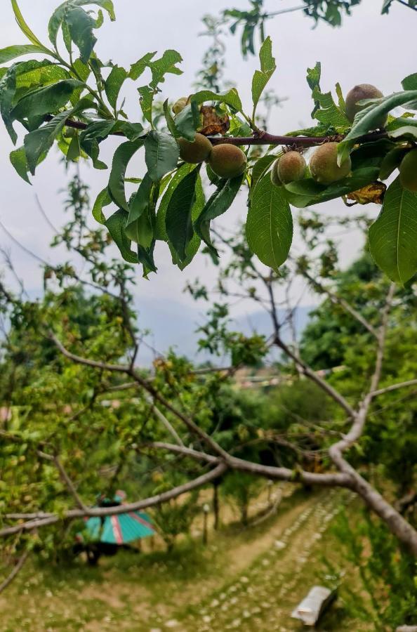 The Kanatal Arbour カナタル エクステリア 写真