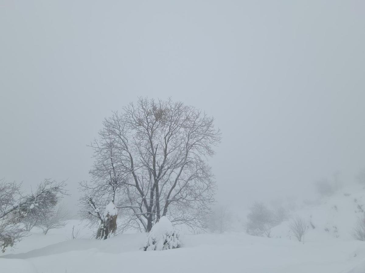 The Kanatal Arbour カナタル エクステリア 写真