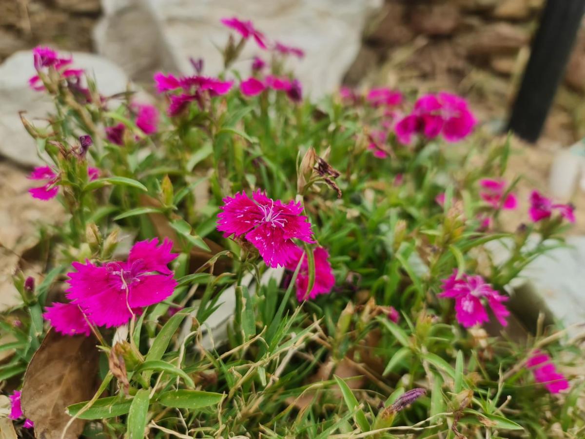 The Kanatal Arbour カナタル エクステリア 写真
